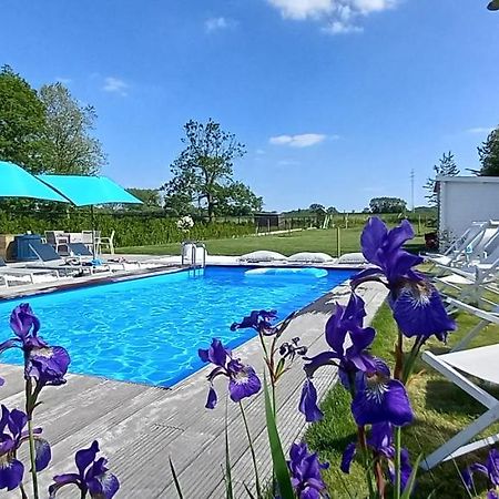 Villa Blue Garden B&B Vlaamse Ardennen Nabij Pairi Daiza เคราร์ดชแบร์เคน ภายนอก รูปภาพ