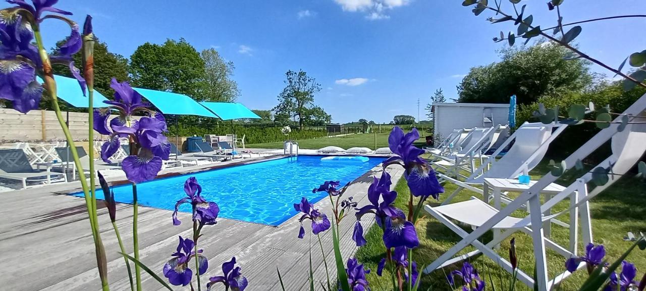 Villa Blue Garden B&B Vlaamse Ardennen Nabij Pairi Daiza เคราร์ดชแบร์เคน ภายนอก รูปภาพ